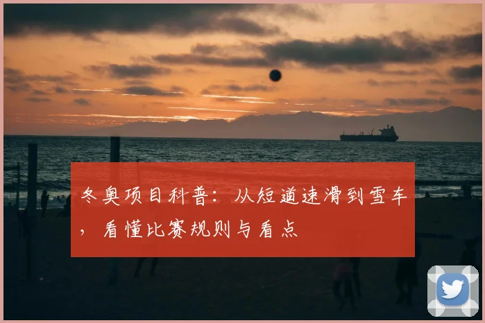 冬奥项目科普：从短道速滑到雪车，看懂比赛规则与看点